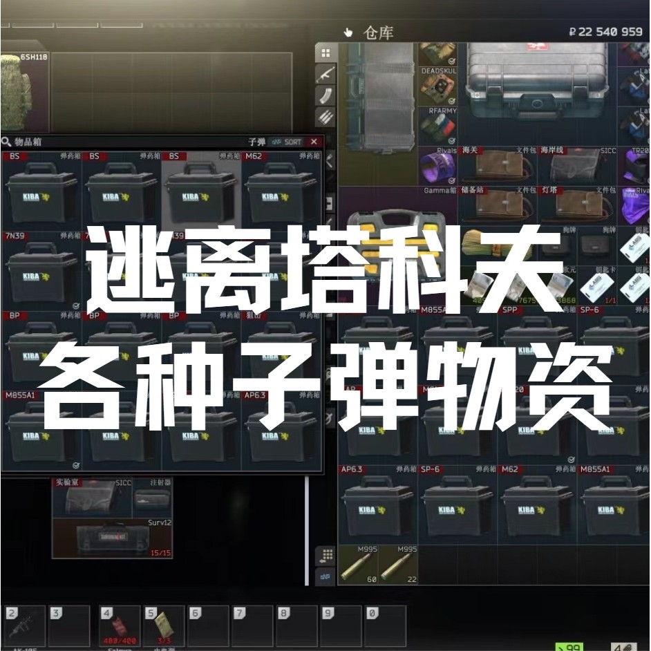 Escape from Tkov Bullet Armor Helmet Full Change to Rublem M995 M855A1 M61 M993 338
