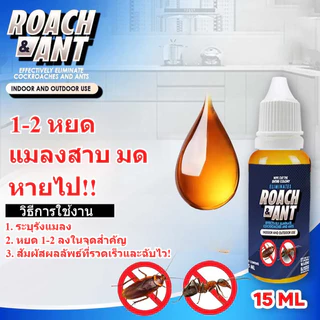 COD✅ เจลกำจัดมด แอนติแอนท์ เหยื่อกำจัดมด เจลล่อมด หยดเดียวตายยกรัง 15ml เพิ่มปริมานขึ้น