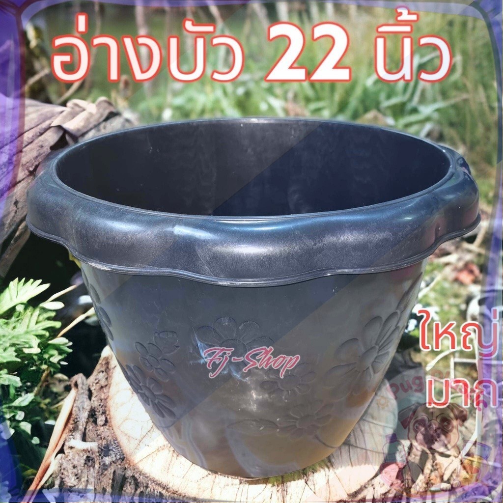 🚚ส่งจากไทย กระถางไซส์ใหญ่ ขนาด 22 นิ้ว กระถางจัมโบ้ อ่างบัว อ่างปลา กระถางใหญ่