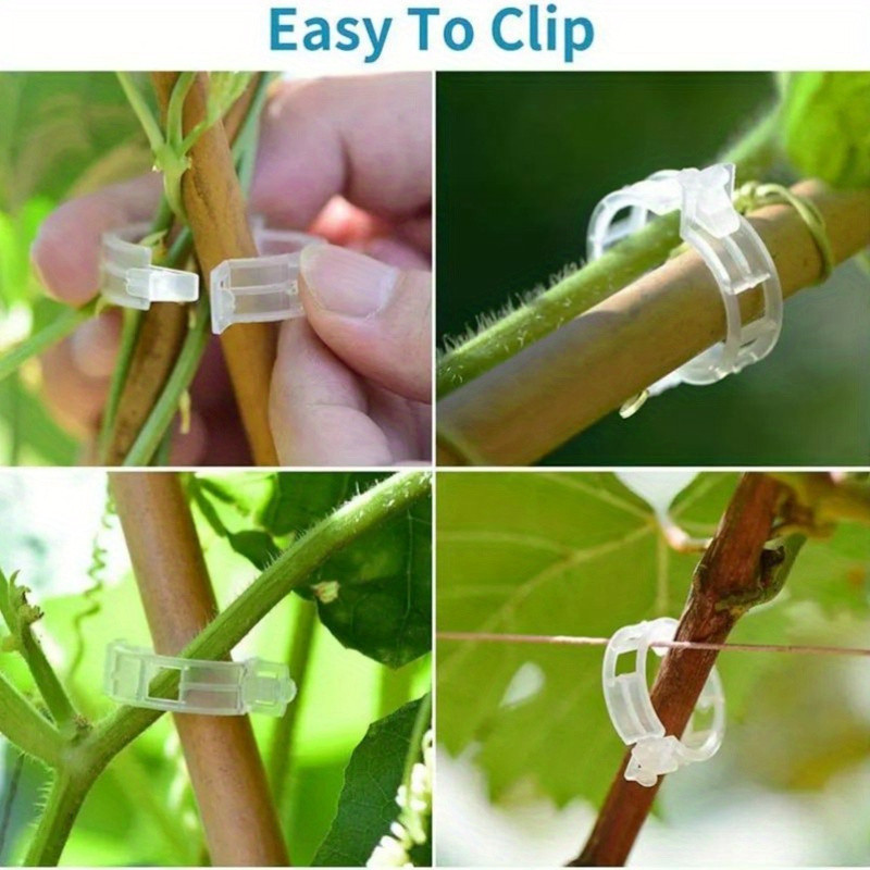 100 ชิ้นคลิปพืชรองรับพลาสติกแบบใช้ซ้ําได้เชื่อมต่อ Fixing Vine Tomato Stem Grafting ผักพืช Orchard และ Garden เครื่องมือ - รูปที่ 2