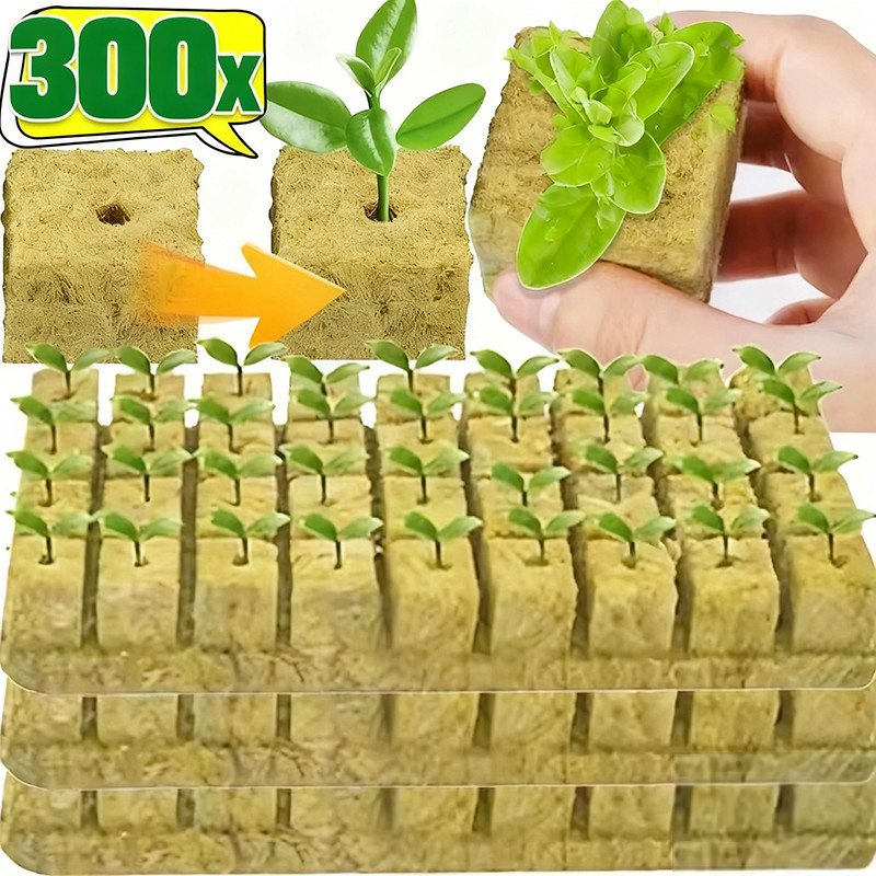 50/100/200/300 ชิ้นพืช Hydroponic Grow Media Cubes - Garden Soilless Substrate ต้นกล้าบล็อก