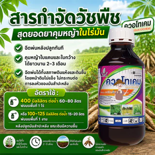 ยา ฆ่าหญ้ามันสำปะหลัง (ฉีดทับมันได้) คุมหญ้าในมัน ฆ่าไร่มัน คุมหญ้ามัน ฆ่าหญ้าในไร่มัน 1 ลิตร