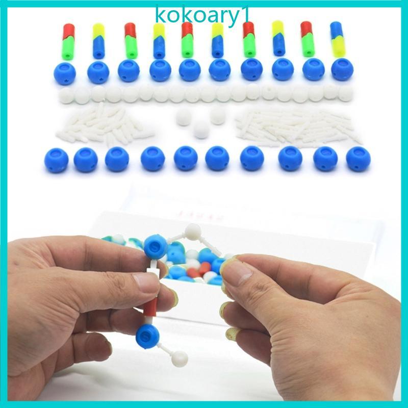 KOKO DNA Double Helix Model DNA Helix Structure Models Biological Science Popularization Teaching Ai