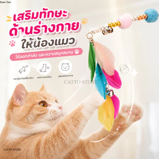 ของเล่นแมว ไม้ตกแมว มีขนนก สนุก ราคาถูก มีกระดิ่ง ไม้ล่อแมว L