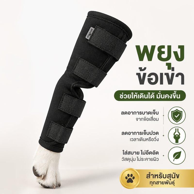 ผ้ารัดขาสุนัข เฝือกอ่อน พยุงข้อเข่า ระบายอากาศ ยืดหยุ่น ปรับได้ ใช้ขาหน้าหลัง หลายขนาด