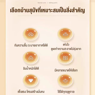 เตียงสัตว์เลี้ยง Dog Bed รับน้ำหนัก 150kgที่นอนหมา เตียงแมว ผ้าตาข่าย ระบายอากาศ ป้องกันความชื้นใหญ่ที่นอนสุนัขพัได้เปล