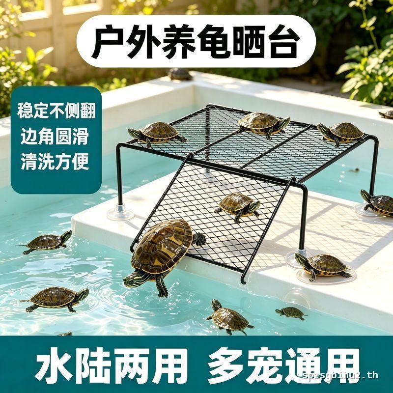 Turtle Sunning Platform Climbing Platform Deep Water Turtle Tank Rest Platform บันไดปีนเขา Sunning P