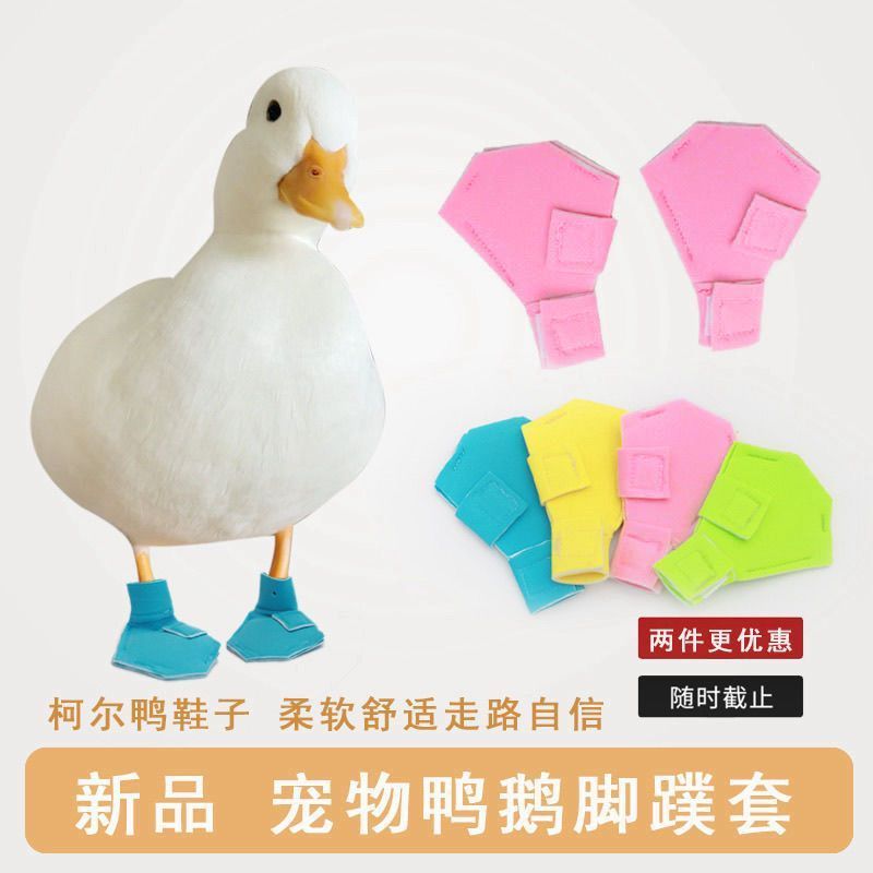 宠物用品鸭子鸡鹅鞋 宠物鸭柯尔鸭脚掌禽靴保护鞋柯尔鸭鞋子鸡鞋9.7 Pet supplies duck, chicken, goose shoes. Pet duck, call duck paw p