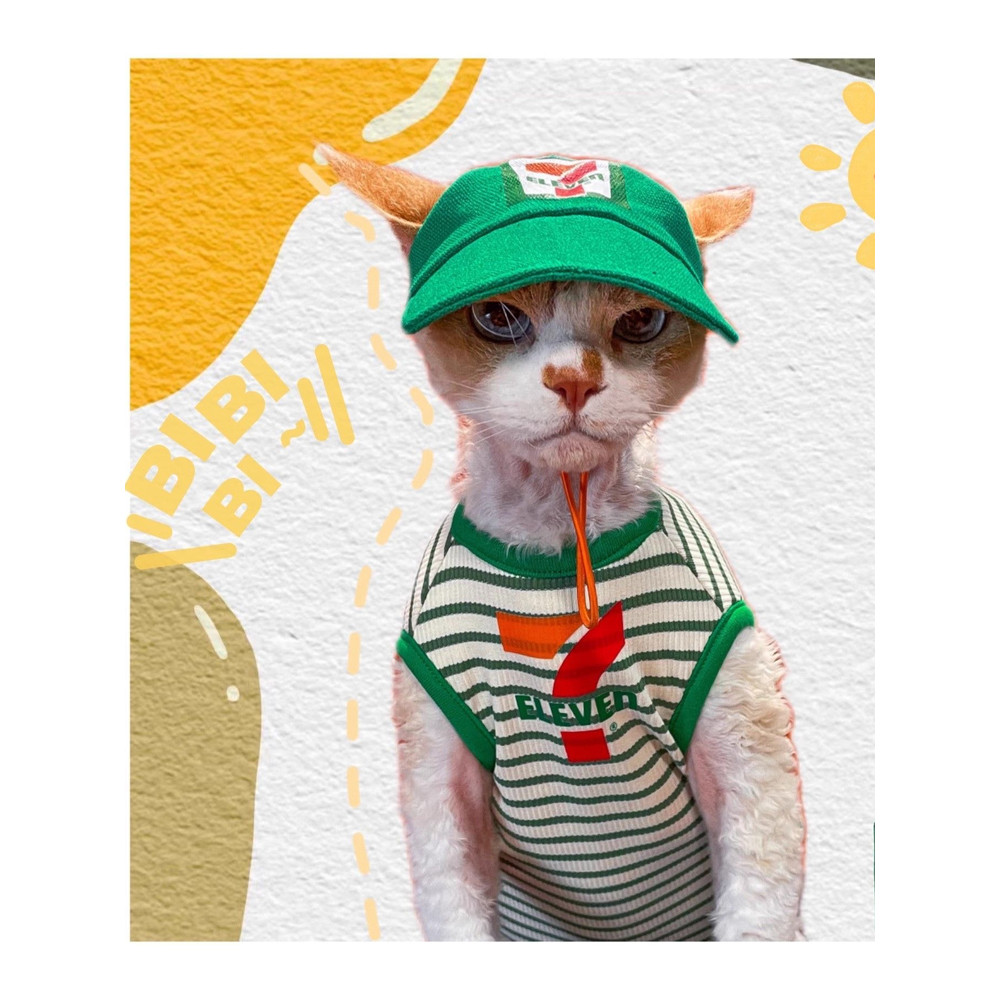 เสื้อแมว เสื้อหมาแมว Influencer เครื่องปรับอากาศ Hairless Cat Sphinx เยอรมัน Cat Anti-Lint ฤดูร้อนบา