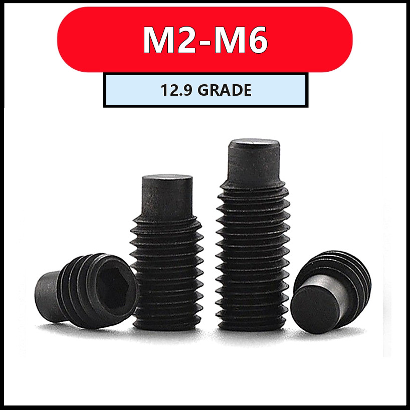 สกรูตัวหนอน M2-M6 เหล็กเกรด 12.9 รมดำ แข็งแรง (10-50pcs) [FKY-M1]
