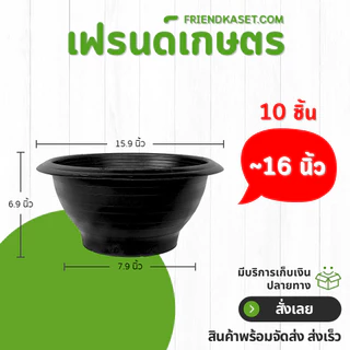 กระถาง อ่างบัว อ่างชวนชม มีรู ขนาด 13 นิ้ว สีดำ 10 ใบ ชิ้น อัน