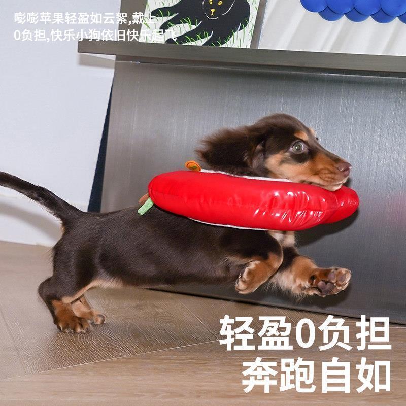 Zeze Apple Elizabeth Collar Pet Waterproof Anti-Lick Collar Headgear Cat Dog ฆ่าเชื้อ Shame Collar