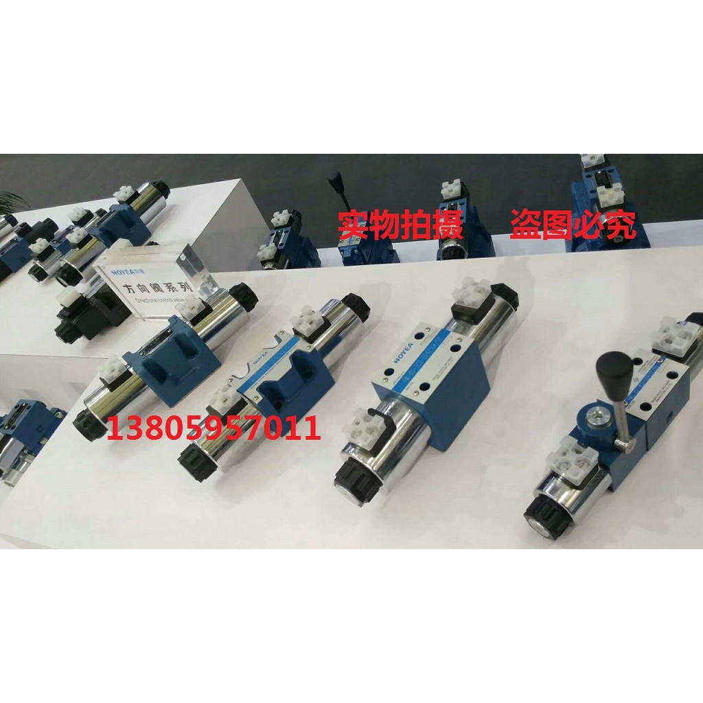 HOYEA วาล์วตรวจสอบแม่เหล็กไฟฟ้า FW-03-2B3B-D24Z6/50 Z5L A220 A110 2B4B 2B5B