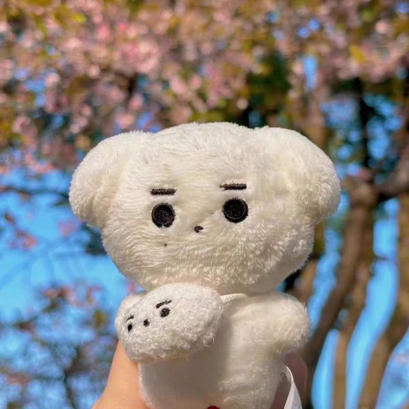 🔥ส่งด่วน ส่งทันที🔥【ENHYPEN】Sunghoon Cotton Doll Plush ตุ๊กตาผ้าฝ้าย พวงกุญแจตุ๊กตา enchin อัลบั้ม en
