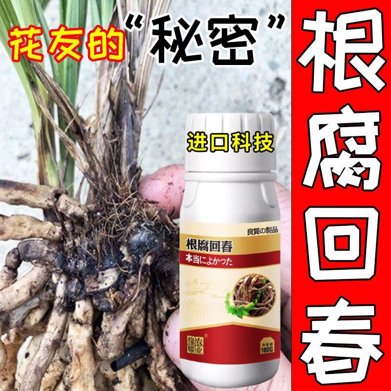 รากฆ่าเชื้อ Rot Rejuvenating Root Rot Dedicated Orchid Root Rotting Root Dead Seedling ดินฆ่าเชื้อ R