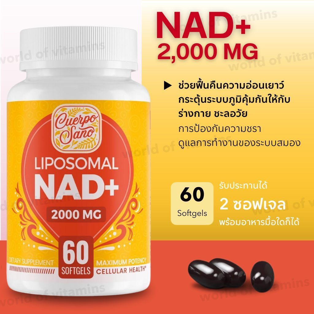 CuerpoSano Lipid NAD2,000MG Metabolc และพลังงานเซลล์, 60 แคปซูลอ่อน (เบอร์ 2434) V5SA