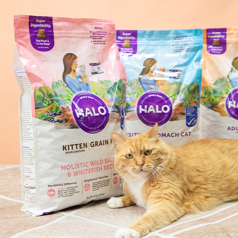 Renke Pets American halo Natural halo Cat Food 10lbs Soft Buster Natural Hypoallergenic British Amer