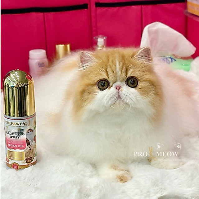 Pinkpawpal R10 สเปรย์บำรุงขน ลดขนร่วง บำรุงขนให้แข็งแรง ลดปัญหาขนพัน ขนมัน Grooming Spray 145 ml