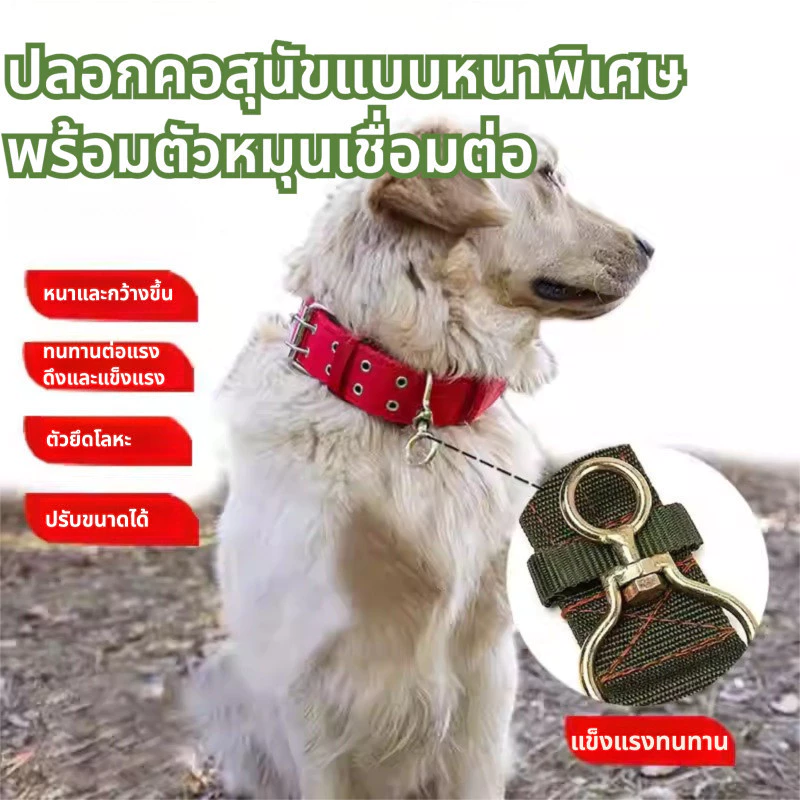 ðĨāļāļĨāļāļāļāļāļŠāļļāļāļąāļāļāļąāļāļāļļāđāđāļŦāļāđ āļāļĨāļāļāļāļāļŠāļļāļāļąāļāđāļāļĨāđāļāļāđāļāļāļāļāļāļēāļāļŠāļēāļĄāļēāļĢāļāļāļĢāļąāļāđāļāđ āļāļĨāļāļāļāļāļŠāļļāļāļąāļ