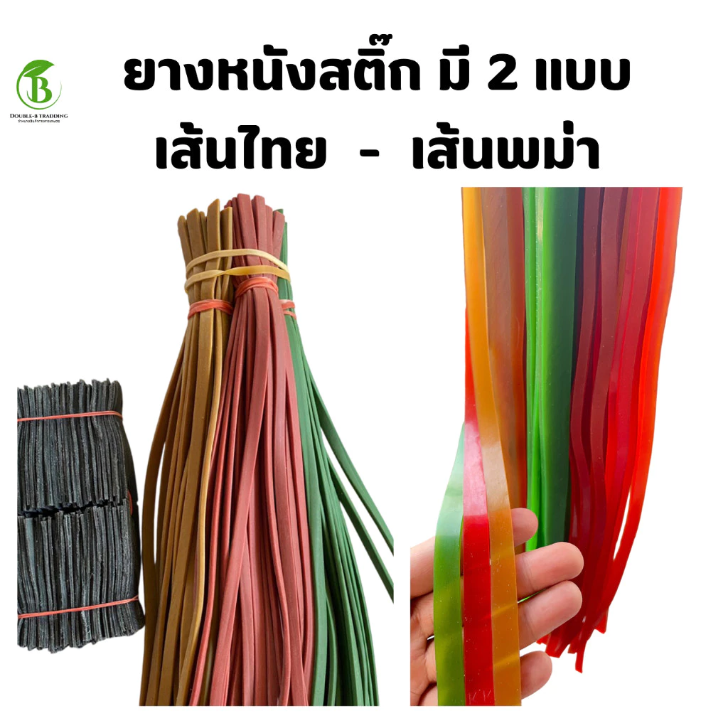 ยางหนังสติ๊ก มี2แบบ แพ็ค 10 - 20 เส้น ยาว50ซม. พร้อมหนังรอง