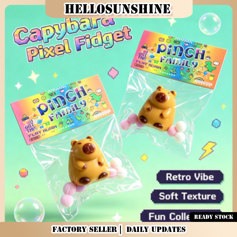 Pinch Family Capybara Squishy ของเล่นพร้อมกล่องสี, ของเล่นบรรเทาความเครียดสัตว์น่ารัก, ตุ๊กตา Fidget