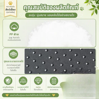 ที่นอนสัตว์เลี้ยง ขนฟูนุ่ม ดีไซน์อุ้งเท้าหมี ขนฟูนุ่มมาก เตียงสุนัข เบาะสัตว์เลี้ยง ที่นอนแมว