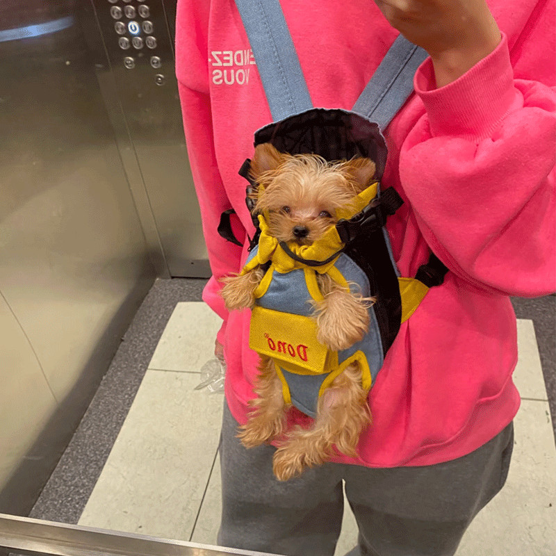 Yorkshire Dedicated Outing Carrying Bag Pet Ultra-Small Body Dog Backpack Dog Cycling Backpack Backp