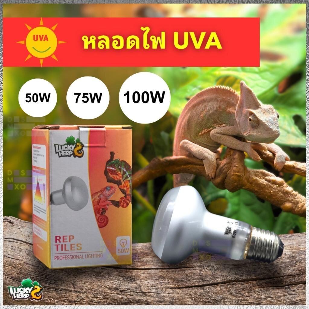 LUCKY HERP หลอดไฟ UVA (50W , 75W , 100W) ให้ความร้อน+แสงสว่าง สำหรับสัตว์เลื้อยคลาน ใช้กกไฟกลางวัน