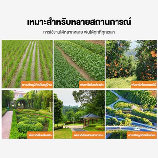 9.5HP ปั๊มพ่นยารุ่นหม้อลมเครื่องยนต์เบนซิน ขนาด 6หุน มาตรฐานญี่ปุ่น เครื่องยนต์เบนซิน ฟรีอุปกรณ์ รับประกันสินค้า 3 ปี