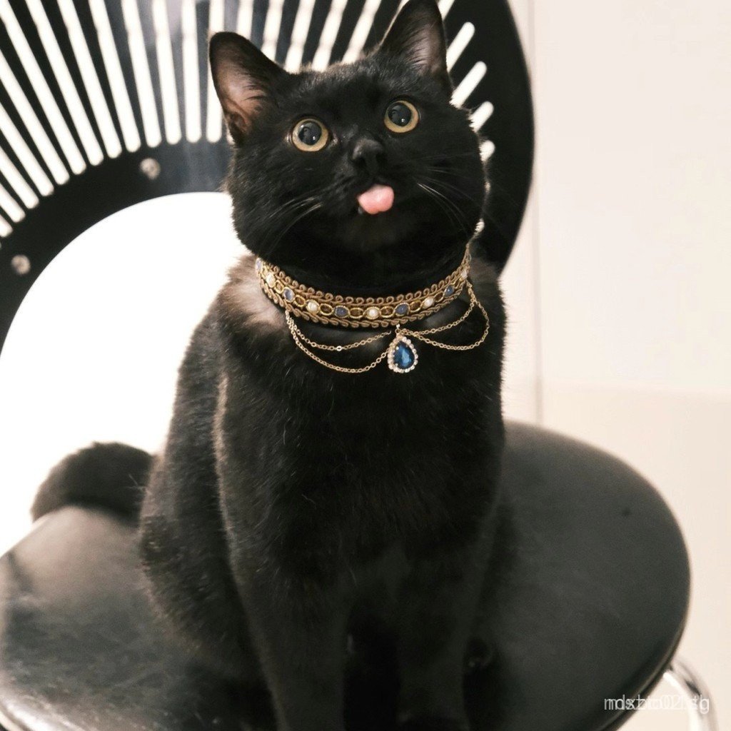 ปลอกคอแมวสัตว์เลี้ยง Abi Devon สไตล์อุปกรณ์เสริมปลอกคอแมวสร้อยคอรูปถ่ายใหม่ Noble สไตล์อัญมณี Choker