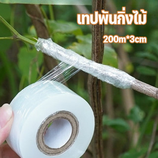 COD เทปพันกิ่งไม้ 200m*3cm ผ้าเทปพันกิ่ง เทปใสพันกิ่ง อุปกรณ…