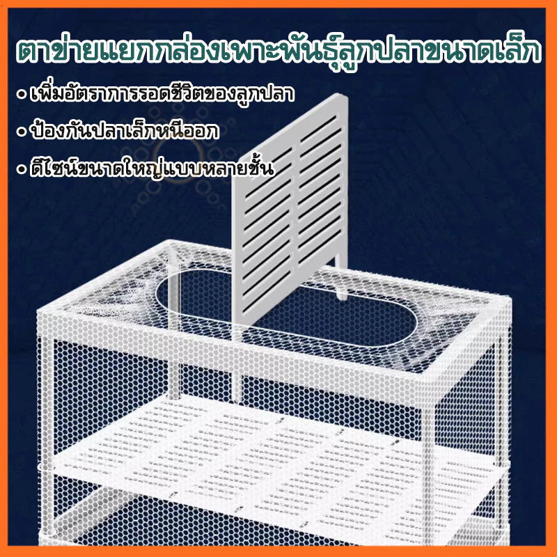 กล่องตาข่ายแยกปลา แยกปลาป่วย ลูกกุ้ง กล่องฟักไข่ปลา thumbnail 8