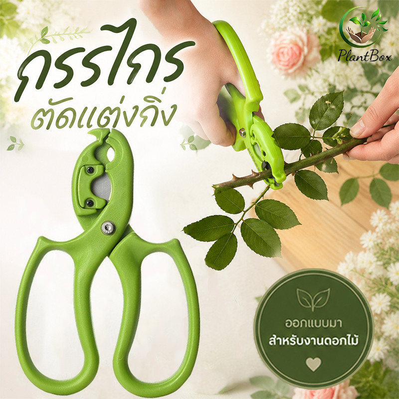 กรรไกรตัดแต่งกิ่ง กรรไกรดอกไม้ - ทนทาน คมและความพยายาม กรรไกรสวนอเนกประสงค์สําหรับตัดแต่ง หนาม