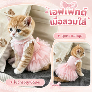 NEW เสื้อผ้าสัตว์เลี้ยง ชุดเดรสเจ้าหญิง กระโปรงสัตว์เลี้ยง เสื้อผ้าแมว ระบายอากาศและสะดวกสบาย แฟชั่น S/M/L