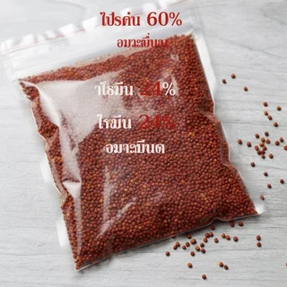 BHQ Artemia อาหารปลาโปรตีนสูงสีโตเร็วเพิ่มเม็ดจมละเอียด 50 100 200g