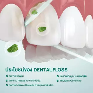 Dentiste Floss 50M เดนทิสเต้ ไหมขัดฟันยาว 50ม.