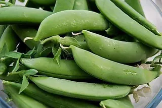 เมล็ดพันธุ์ถั่วลันเตาหวาน 10เมล็ด [ 5เเถม 1]