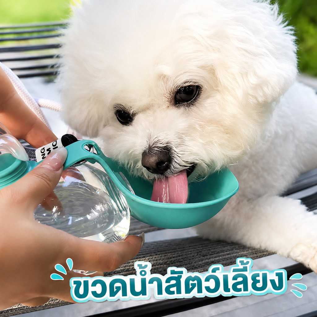 ขวดน้ำสัตว์เลี้ยงพกพา Pawlygo PWB20 285ml พับเป็นถ้วยได้ Food Grade ไร้ BPA กันรั่ว สำหรับหมาแมว