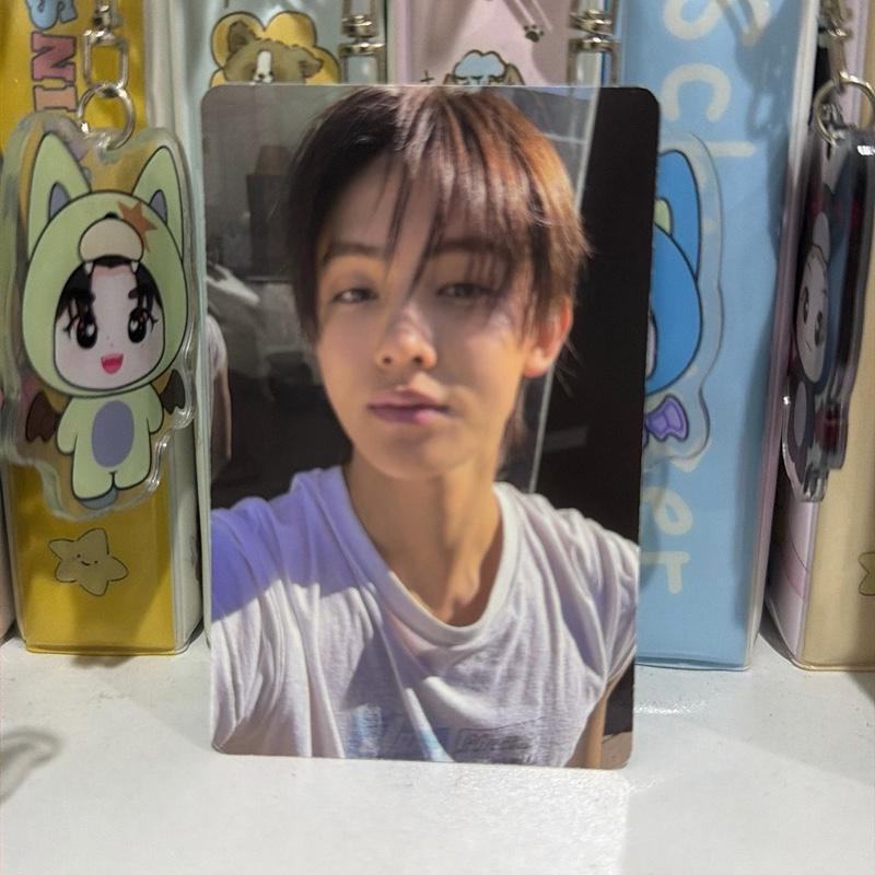 อัลบั้ม Photocard Greengreen อย่างเป็นทางการของ Cortis
