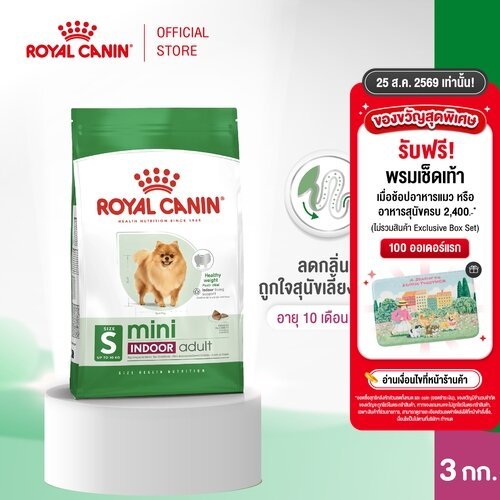 Royal Canin Mini Indoor Adult 3kg อาหารเม็ดสุนัขโต พันธุ์เล็ก เลี้ยงในบ้าน อายุ 10 เดือน-8 ปี(Dry Dog Food, โรยัล คานิน)