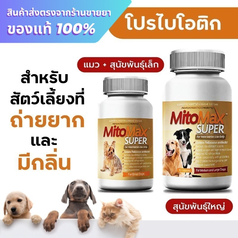 Mitomax Super For Small Dog & Cat / Mitomax Medium-Large Dogs ช่วยในเรื่องระบบย่อยอาหาร 30 เม็ด