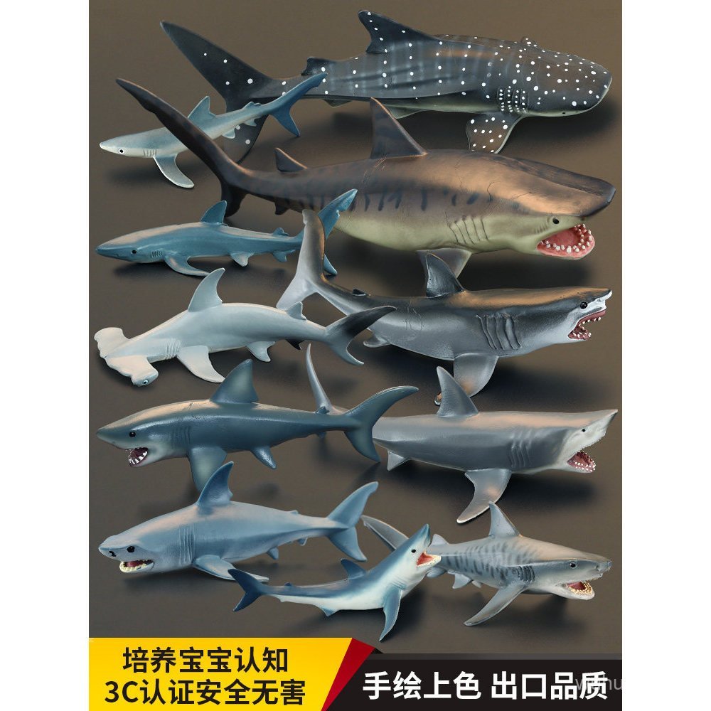 Solid เด็กจําลองสัตว์ของเล่นรุ่น Shark Whale Shark Great White Shark Tiger Shark Blue Shark Megalodo