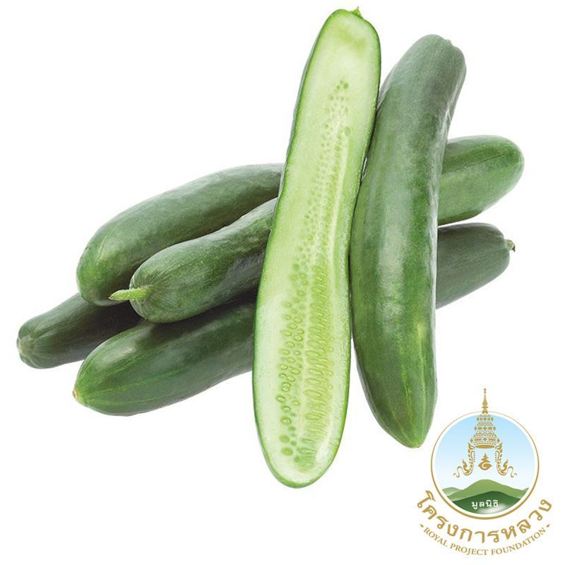 โครงการหลวงแตงกวาญี่ปุ่น 300กรัม Royal Project Japanese Cucumber 300g.
