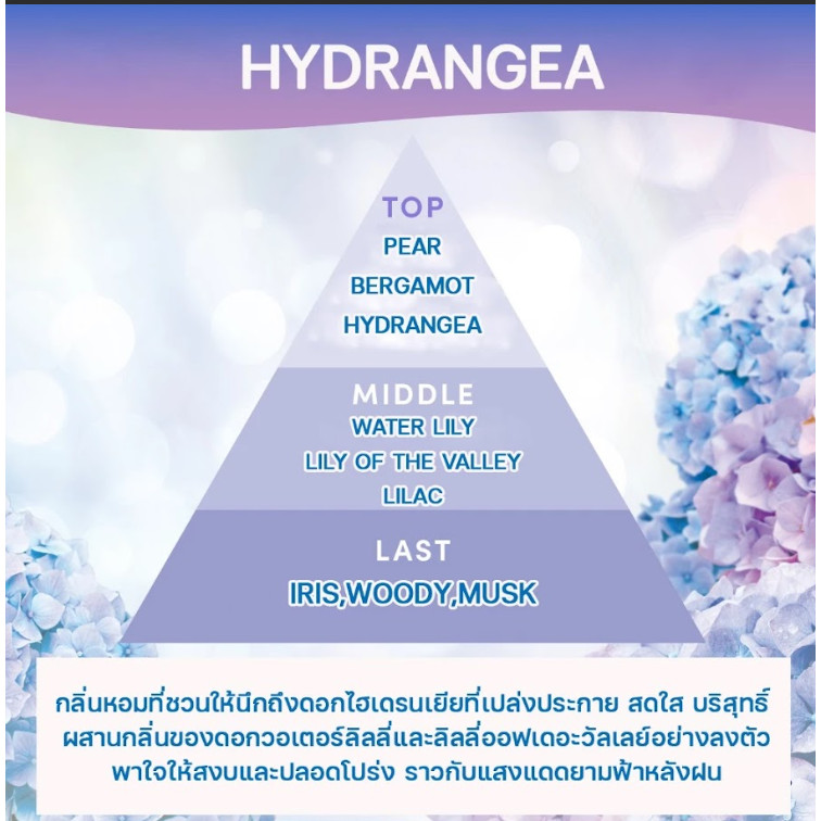 SHALDAN โชชูริกิ พรีเมี่ยมอโรม่า น้ำหอมปรับอากาศสำหรับห้อง กลิ่น ไฮเดรนเยีย ขนาด  400 มล. ราคา ถูกที่สุด ดีลบีเคเค แกลเลอรีภาพที่ 4