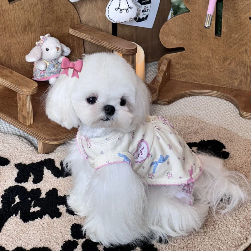 ชุดเดรสแขนกุดลายดอกไม้น่ารักสําหรับสุนัขขนาดเล็กแมวฤดูใบไม้ผลิฤดูร้อนเสื้อผ้าสัตว์เลี้ยงเท็ดดี้บิชอนชุดใส่ในบ้าน - รูปที่ 5