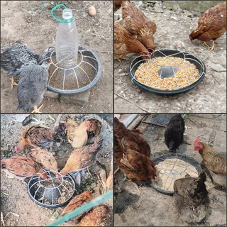เครื่องให้อาหารไก่ทรงกลม เครื่องให้อาหารไก่และเป็ดเครื่องให้อาหารไก่ เหมาะสำหรับไก่ เป็ด และห่าน