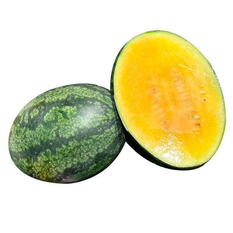 แตงโมมินิญี่ปุ่นผลเดี่ยว Japanese Mini Watermelon [หมายเลขบาร์โค้ด 0000038369056]