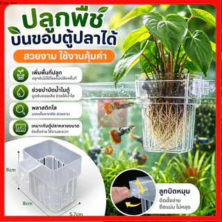 ตะกร้าปลูกพืชน้ำ ตะกร้าปลูกผักบนตู้ปลา พลาสติกใส ลูกบิดยึดแน่น ติดขอบกระจกปลูกพืชช่วยกรองน้ำตกแต่งตู้ปลา