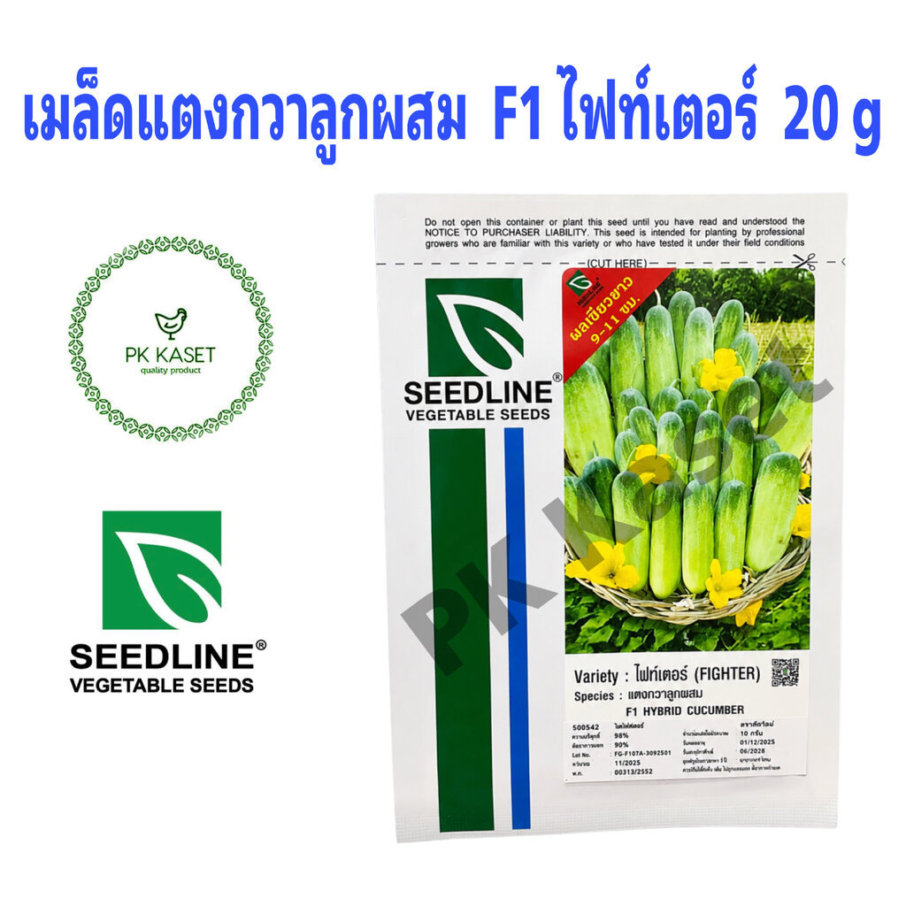 เมล็ดแตงกวา ไฟท์เตอร์ (FIGHTER) ตราseedline ซอง ขนาด 10 g แตงกวาลูกผสม F1 HYBRID CUCUMBER