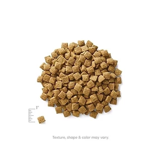 อาหารสุนัข SolidGold HolistiqueBlendz ขนาด 10.89 kg. แถม เพ๊าซ์สุนัข 3 ซอง(เพ๊าซ์สุนัขอาจคละรสคละยี่ห้อ)